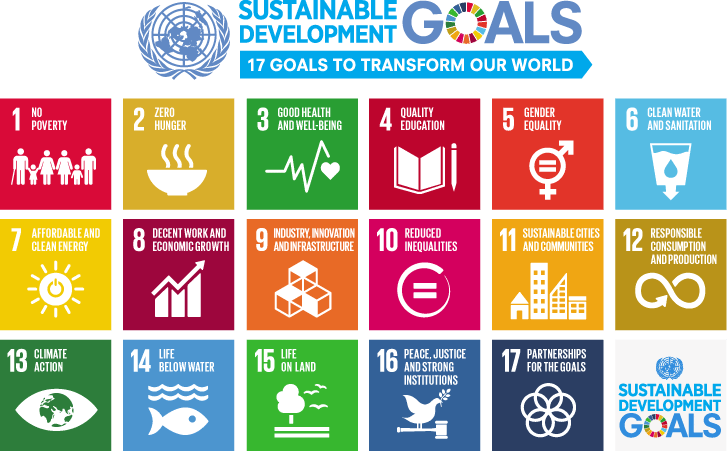 Sustainable Development Goals (SDGs). Source: United Nations.